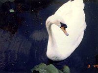 photos 2000-200900084